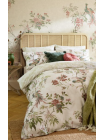 Комплект постельного белья Laura Ashley Atteleton Main 230 х 220 и 50 х 60 см