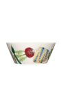 Миска Iittala Taika Sato 0,3л серия Волшебный Урожай