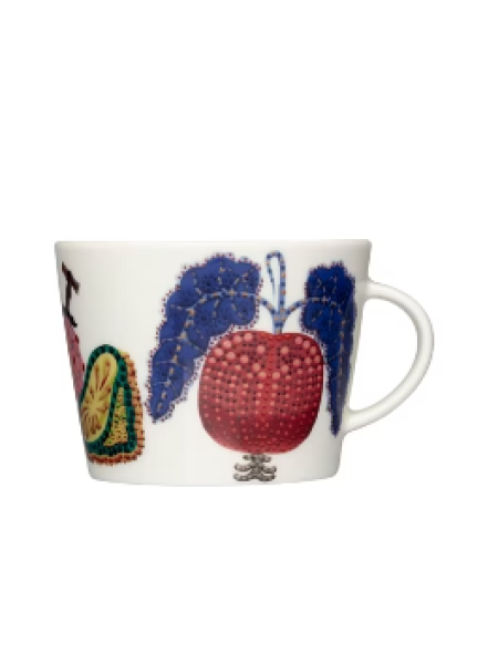 Чашка для кофе и чая Iittala Taika Sato 0,3л серия Волшебный урожай