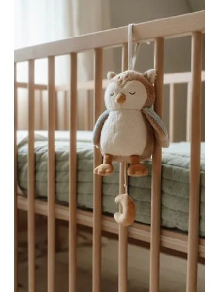 Маленький голландский лесной друг Little сова